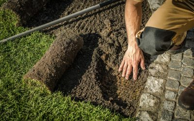 Underground Fencing and Grass Installation in a Garden. Caucasian Gardener. Agriculture Industry.